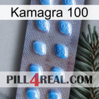 Kamagra 100 viagra3